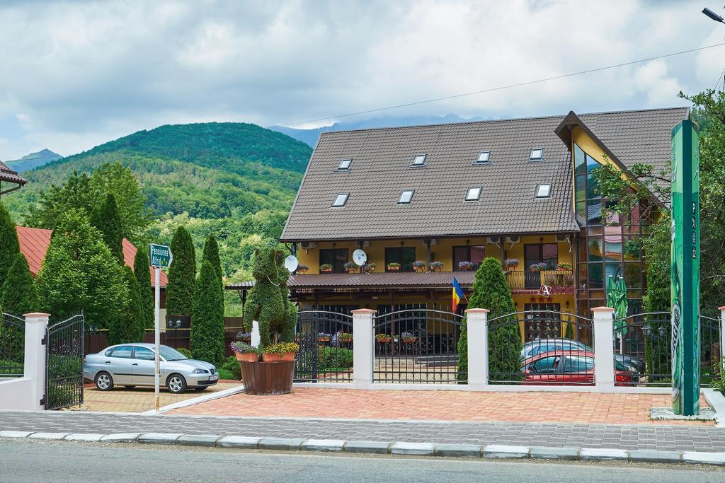 Pensiunea Alfrid Călimăneşti Dış mekan fotoğraf